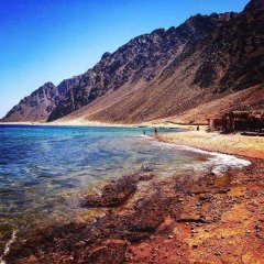 Giftun Island Awesome Trip 45$ - Trip Light Tours ( 2022 )