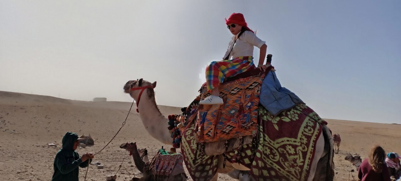 Cool Camel Safari In Sharm El Shiekh $25 - Trip Light Tours