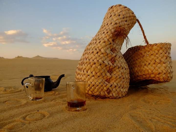 Amazing Buggy Safari Sharm El Shiekh $45 - Trip Light Tours