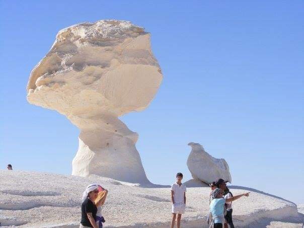 2 Days In Baharyia Oasis From $80 - Trip Light Tours Now