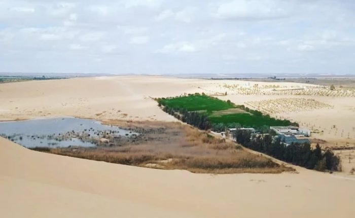 Best Day Tour To Fayum From Cairo Trip Light Tours