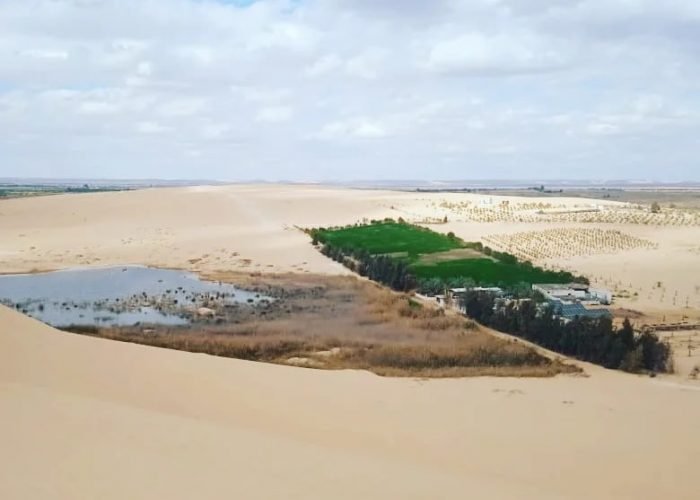 Best Day Tour To Fayum From Cairo Trip Light Tours
